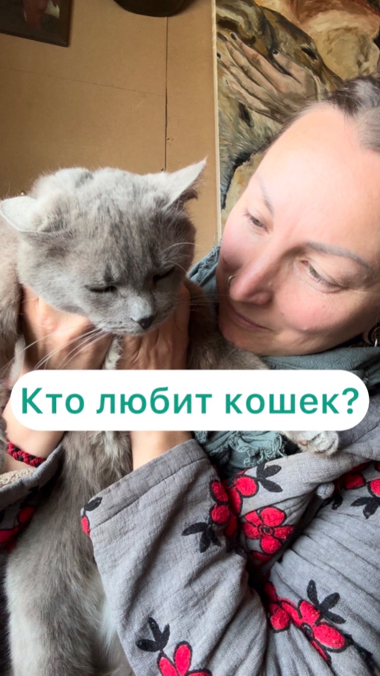 Кто любит кошек?