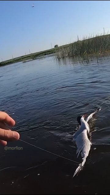 СЛУЧАЙ на РЫБАЛКЕ! Я аж ОФИГЕЛ