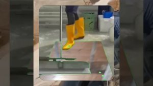 1000056085.mp4 (Собака наблюдает за устройством лестницы на 2-ой этаж в доме А-фрейм)