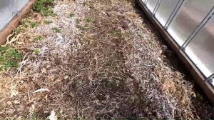 Мой участок 14 апреля