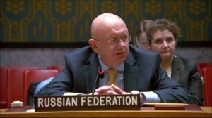 Right of reply by Vassily Nebenzia at UNSC Briefing on UN-EU Cooperation