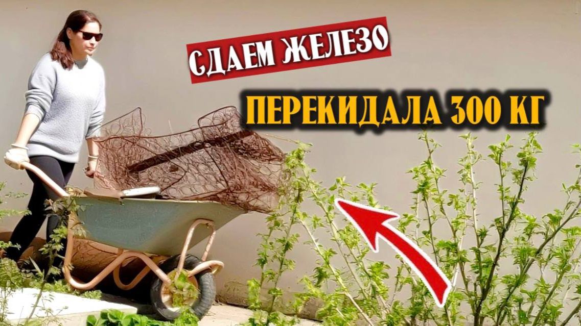 Зарядка от мамы, уборка двора - Сдали 300кг лома, ОТКУДА СТОЛЬКО? сломался тример, проверяем саженцы
