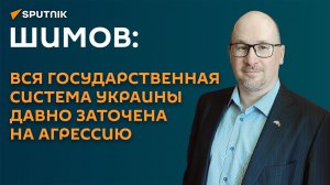Шимов: вся государственная система Украины давно заточена на агрессию