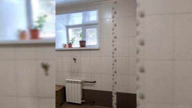 сосновый бор