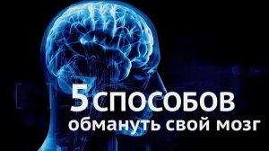 10 способов обмануть мозг и стать продуктивнее — работает мгновенно!