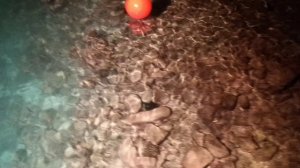 мальдивские друзья экзосфератур