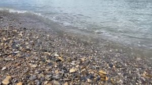 Четверо нижегородцев принимают участие во Всероссийской регате "Весенние старты"