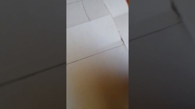 зделай и пиши