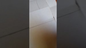 зделай и пиши