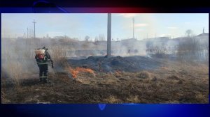 Первые поджоги травы