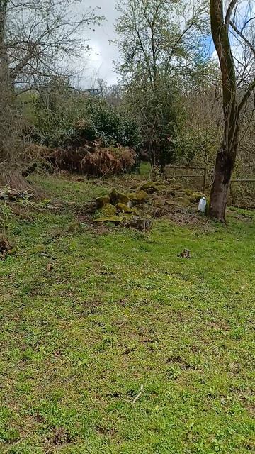 Участок 5 соток -2 000 000 рубСочи, село Верхнениколаевское, Кузнечная улица, 57А