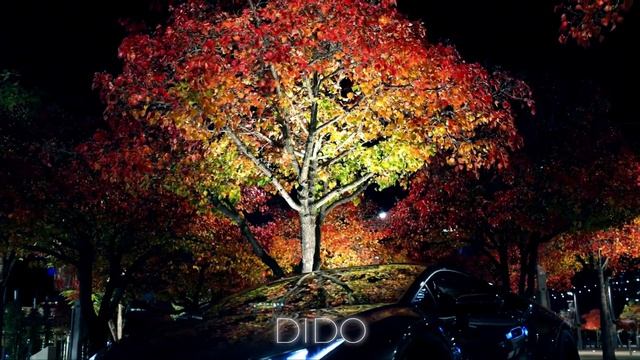 DIDO - Leyli Leyli (Original Mix)