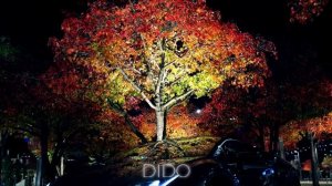 DIDO - Leyli Leyli (Original Mix)