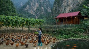 Уезжаю из города в лес: строю ферму, возвожу гигантскую бамбуковую шпалеру для тыкв.