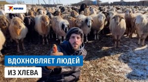Принимает роды у кошек и помогает землякам: как фермер-блогер из Дагестана вдохновляет людей