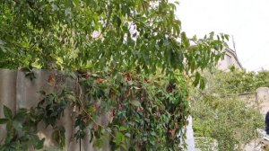 Один из дней города Евпатории | 14 сентября 2021 г | Крым ХАН БАТОН XAH 6ATOH | VID_20210914_145229