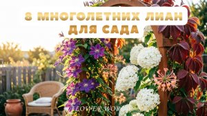 Секреты вьющихся растений 8 лиан для уютного сада на долгие годы.