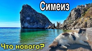 Симеиз сегодня — что творится? Пляжи, море, набережная! Скала Дива. Крым отдых 2026