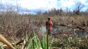 Рыбалка 13 апреля на разных прудах и ручьях и клёв карася на разных местах рано весной