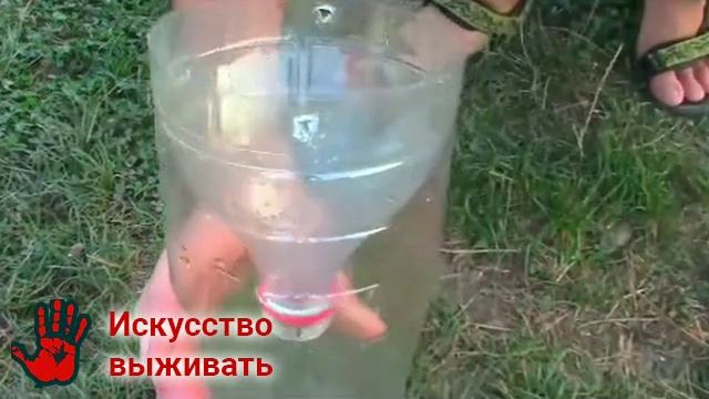 Ловушка для мелкой рыбы