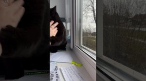 Видео / туториал /