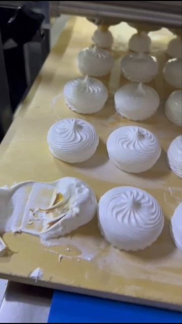 Отсадочные машины для печенья и зефира. 89374449733