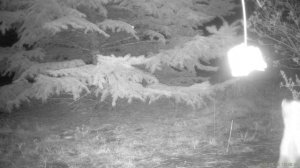 Голодные игры 8 1/2