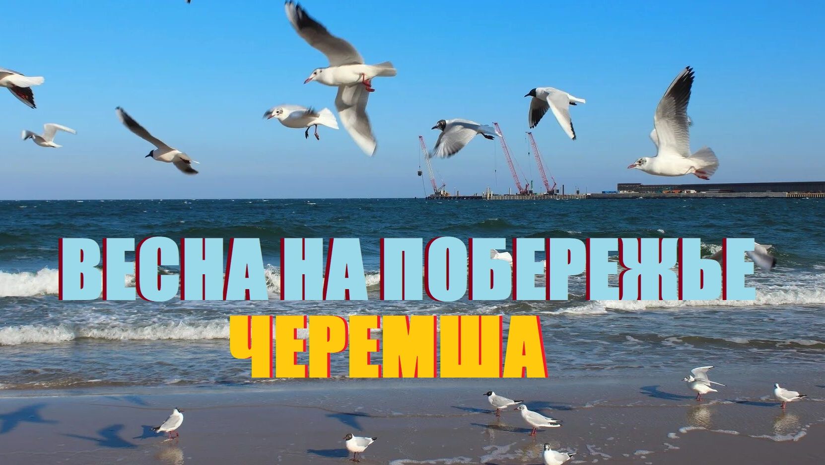 🇷🇺VLOG из КАЛИНИНГРАДА.Чесночная ЧЕРЕМША под  Янтарным.Но погода портится,а надо ещё в Светлогорск
