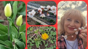 💥Домашний Влог 💥Болталка💥Готовлю ужин💥