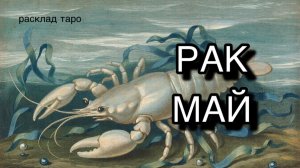 РАК таро прогноз на май 2026 [расклад таро] [гадание онлайн]