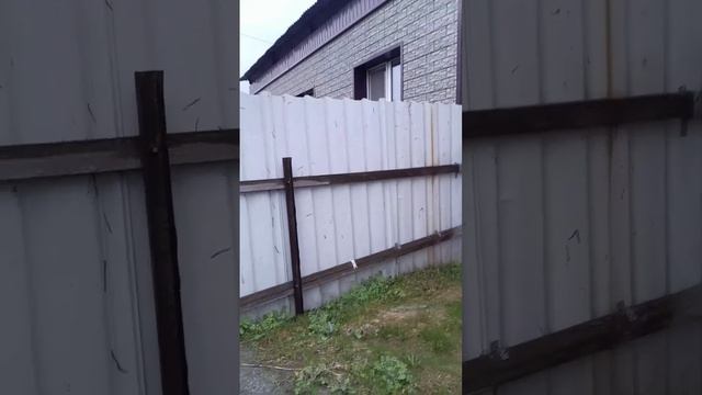 Нападение червей.Такого я не видела