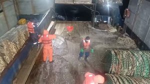 Постановка порядка на крабе 🦀 Смотреть Бесплатно всем⬇️⬇️⬇️