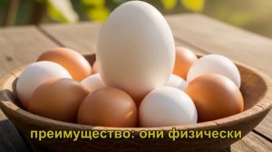 создай собственную экосистему на своём участке