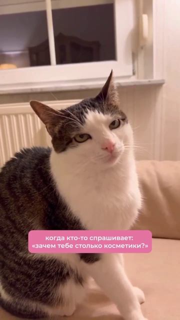 #юмор #прикол #смех #кот