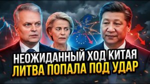ЕС бросил Литву Китай мгновенно воспользовался ошибкой