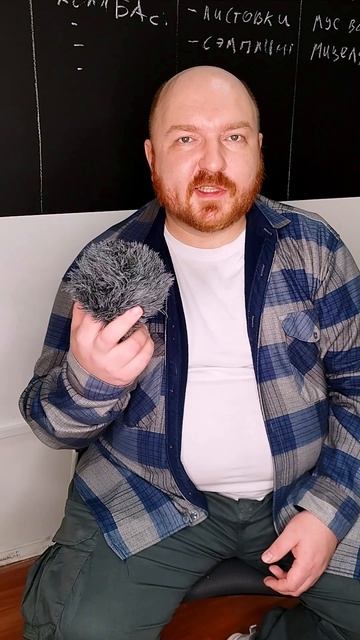 Звук го..но) на что записываете?