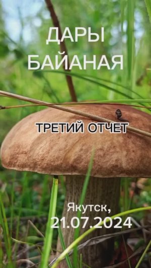 ДАРЫ БАЙАНАЯ (отчет третий)