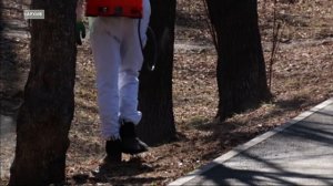 О необходимости обрабатывать животных от клещей напоминает служба ветеринарии Иркутской области