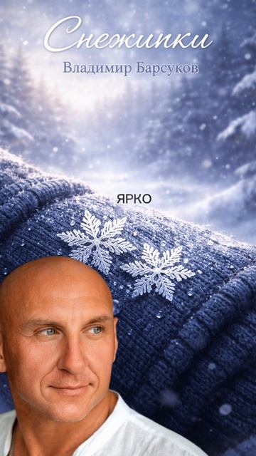 Снежинки_Владимир Барсуков
