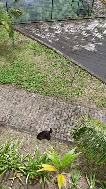 🇵🇦 В Панаме 🇵🇦 Утро начинается с …))