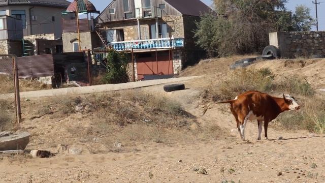 Мои скитания. Дагестан. И это тоже Избербаш! Вся правда о пляжах Избербаша