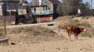 Мои скитания. Дагестан. И это тоже Избербаш! Вся правда о пляжах Избербаша