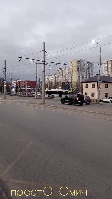 Омские свиньи #1