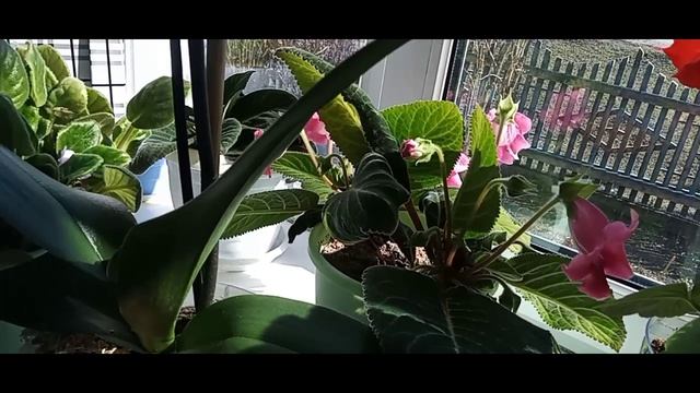 ДЕНЬ ОТДЫХА💻 ИЗ- ЗА СТОЛА НА ДИВАН🛋 И ОБРАТНО.