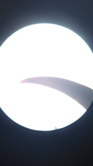 Острее иглы? 🕷️ Клыки паука под микроскопом 🔬