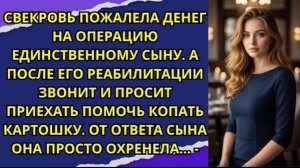 Свекровь пожалела денег на операцию единственному сыну  А после его реабилитации звонит и просит!