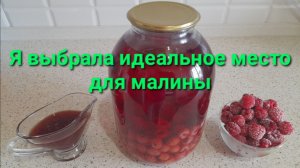 Я нашла идеальное место для малины