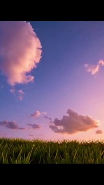 #природа #силаприроды #природаидемократия #зеленаяпланета #нетуристическиеМеста