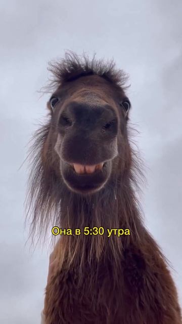 Говорят, что чем больше тратим на жену, тем больше зарабатываем, согласны?