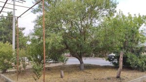 Один из дней города Евпатории | 14 сентября 2021 г | Крым ХАН БАТОН XAH 6ATOH | VID_20210914_144421